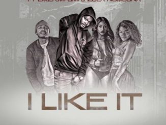 DJ Active – I Like It Ft .Mpumi, Emza & Zola Nombona