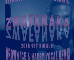 TROIKA MUSIQ FT SIZWE – ZWAFANAKA (BROWN ICE & HARRY REMIX)