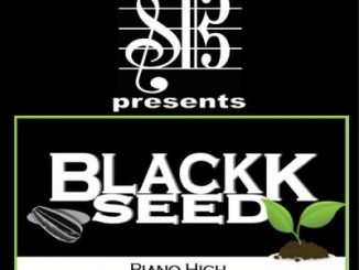 BlackkSeed – Piano High