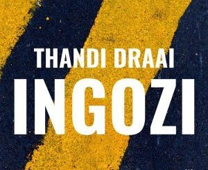 Thandi Draai - Incoming Danger