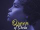 Blizzard Beats – Queen of Sheba