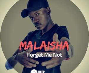 Malaisha - Forget Me Not (Original Mix)