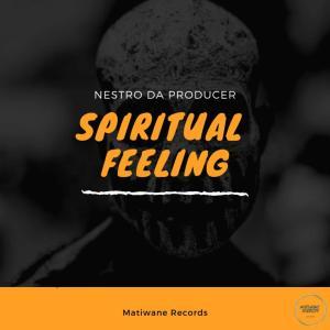 Nestro Da Producer - Spiritual Feeling (Extended Mix)