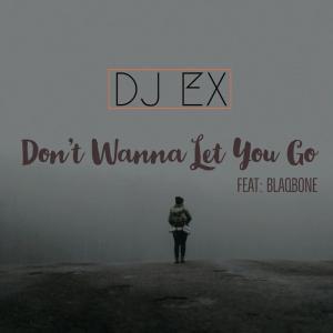 DJ EX - Don’t Wanna Let You Go Ft. Blaqbone