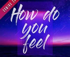 DJ Mshega - How Do You Feel Ft. Ziyon