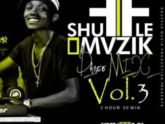 Shuffle Muzik – Dance Mix Vol.3