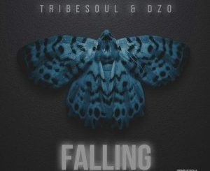 Tribesoul & Dzo - Falling (Original Mix)