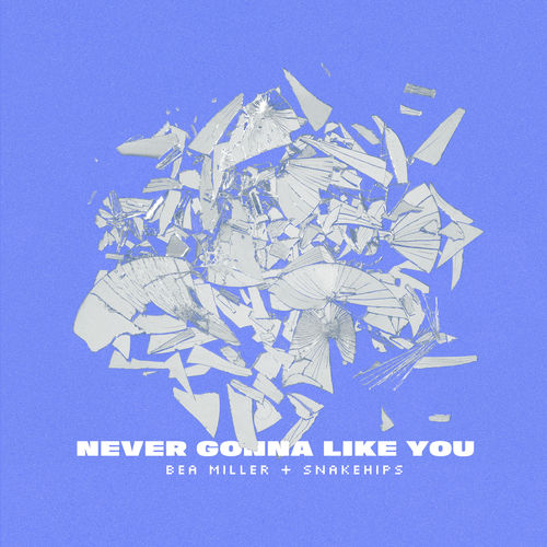 Bea Miller ft. Snakehips – Never Gonna Like You