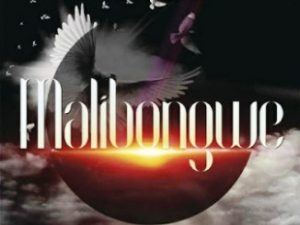 Naked-Wire & Afrikan Roots – Malibongwe Ft. Phili Faya