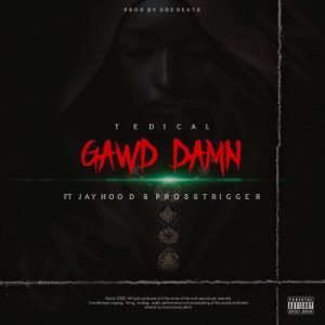 Tedical – Gawd Damn Ft. Jayhood & Pross Trigger