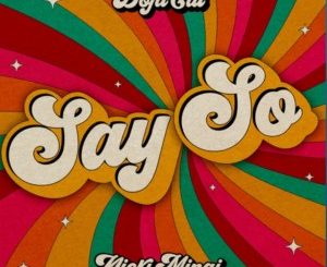 Doja Cat & Nicki Minaj – Say so (Remix)