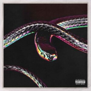 Don Design – Python Ft. AKA & Moozlie