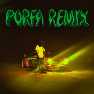 Feid, J Balvin, Maluma, Nicky Jam, Sech & Justin Quiles – PORFA (Remix)