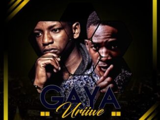 Jah Signal – Gaya Uriwe (Amapiano Mix) Ft. Dj Pressure ZW