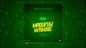 Aslay – Magufuli Wambie