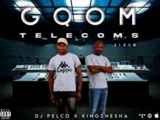 Dj Pelco - Kingshesha Ft. Gqom Telecoms