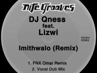 Dj Qness - Imithwalo [Remix] Ft. Lizwi