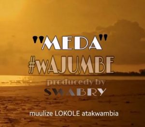 Meda – Wajumbe