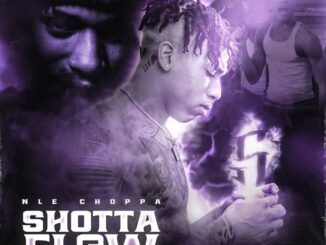 NLE Choppa - Shotta Flow 5