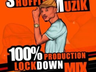 Shuffle Muzik – 100% Production Mix Vol. 4