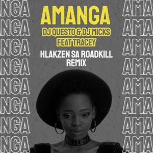 Dj Questo - Amanga Ft. Tracey & Dj Micks (Hlakzen SA Roadkill)