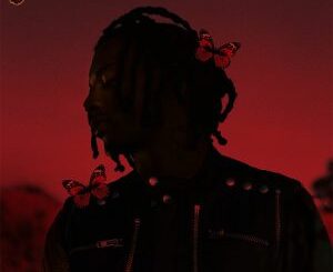 Playboi Carti – SRT! (feat. Lil Uzi Vert)