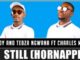 Tsebe Boy - Still (Hornappela) Ft. Charles Mkhulu & Tebza Ngwana