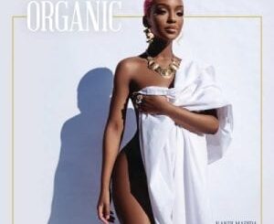 Nandi Madida - Organic (Radio Edit)