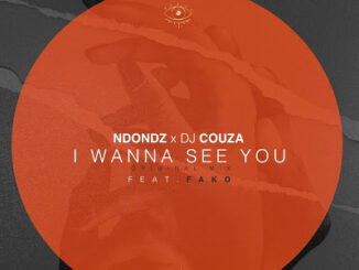 Ndondz - I Wanna See You Ft. Fako (Original Mix) & DJ Couza