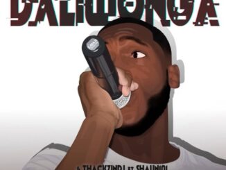 Daliwonga – Ebusuku Ft. ThackzinDJ & Shaun101