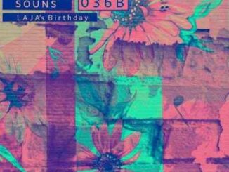 De nolo ZA – WHSSounds 036B Mix (Tribute To Laja Maseko)