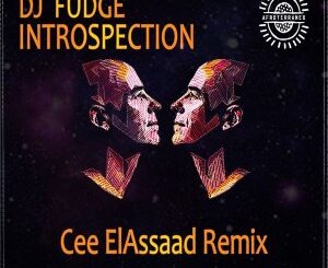 DJ Fudge – Introspection (Cee ElAssaad Introspective Remix)