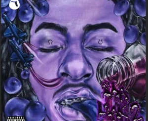 ALBUM: Robb Bank$ – Tha Leak 2