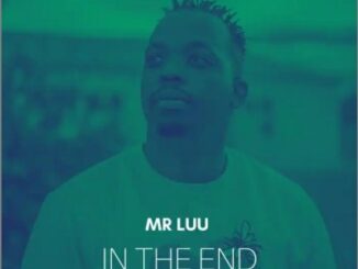 Mr Luu – In The End