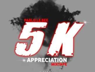 Pablo Le Bee – 5K Appreciaton Mix