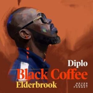 Black Coffee – Never Gonna Forget Ft. Diplo & Elderbrook