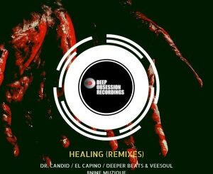 Buder Prince – Healing (Remixes)