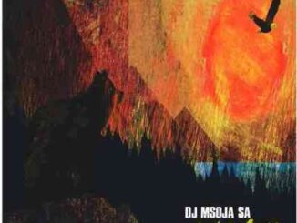 Dj Msoja SA – Animal