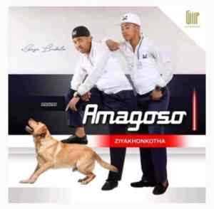 Amagoso – Impi Yezizwe Ft. Jaiva Zimnike