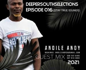 AndileAndy – DSS Episode 016 (Guest Mix)