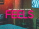 Tory Lanez, Chris Brown – F.E.E.L.S.