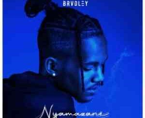 Brvdley – Nyamazane