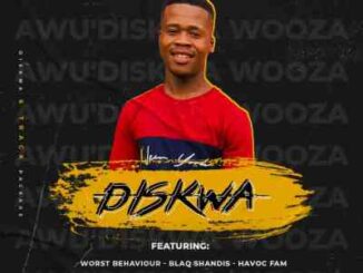 EP: Diskwa Wooza – Diskwa 6 Track Package