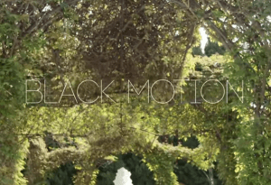 Black Motion – Its You Ft Missp