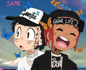 Lil Gnar, Lil Skies – Not the Same