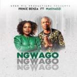 VIDEO: Prince Benza – Ngwago Ft. Makhadzi