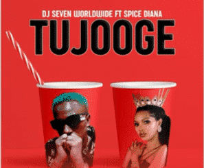 Tujooge – Dj Seven Worldwide (feat.Spice Diana)