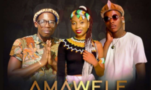 Zodumo – Amawele Ft. Msagazi & Dj Bhozo