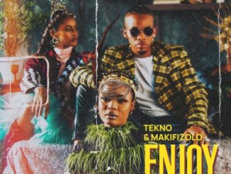 Tekno – Enjoy (Remix) Ft. Mafikizolo