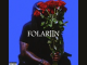 folarin-ii-wale-1